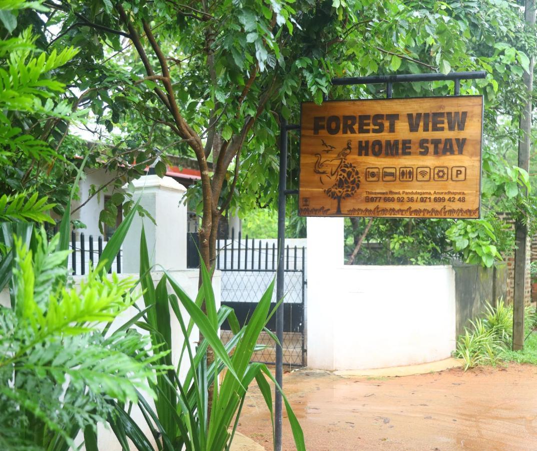 Forest View Home Stay Anuradhapura Exterior photo
